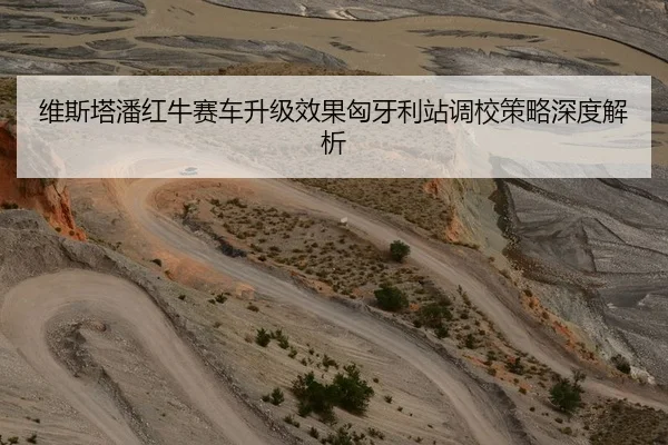 维斯塔潘红牛赛车升级效果匈牙利站调校策略深度解析