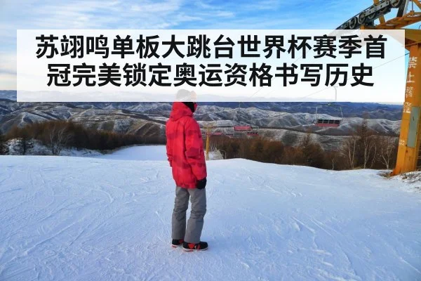 苏翊鸣单板大跳台世界杯赛季首冠完美锁定奥运资格书写历史
